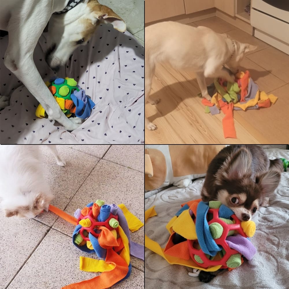 Jogo Interativo de Guloseimas/Petiscos