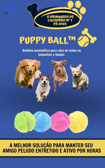 Puppy Ball Bolinha de Rolagem Automática + 4 Brindes (Capas de Pelúcia)