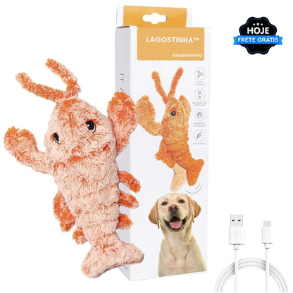 Lagostinha™ - Brinquedo Lagosta interativo para Pets